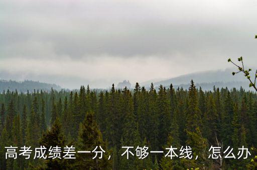 高考成績差一分，不夠一本線，怎么辦