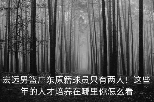 宏遠男籃廣東原籍球員只有兩人！這些年的人才培養在哪里你怎么看