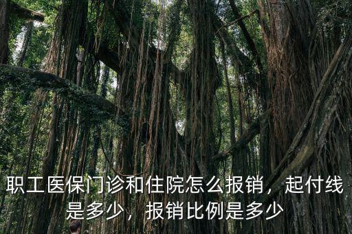 濟南職工醫保起付線是多少錢,起付線是多少