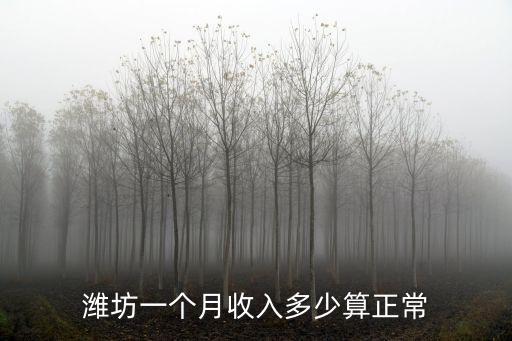 濰坊高鐵服務員工資是多少,一個月工資多少