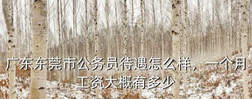 東莞一個(gè)月工資是多少,一個(gè)月工資大概有多少