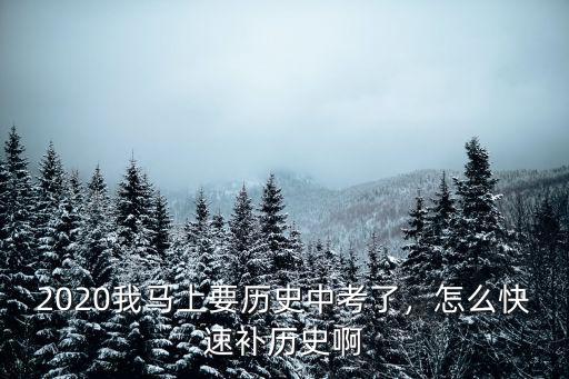 2020廣東中考歷史占多少分,怎么快速補歷史啊