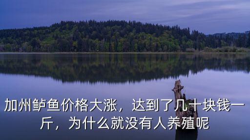 加州鱸魚價格大漲，達到了幾十塊錢一斤，為什么就沒有人養殖呢