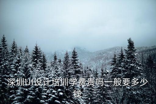 深圳沙井ui培訓學費多少,深圳UI設計培訓學費貴嗎