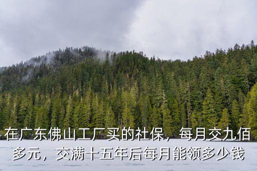 廣東佛山社保交費每月多少錢,在廣東佛山工廠買的社保