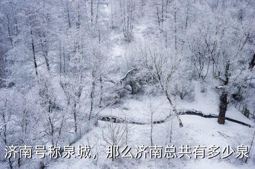 濟南泉眼有多少,濟南號稱泉城