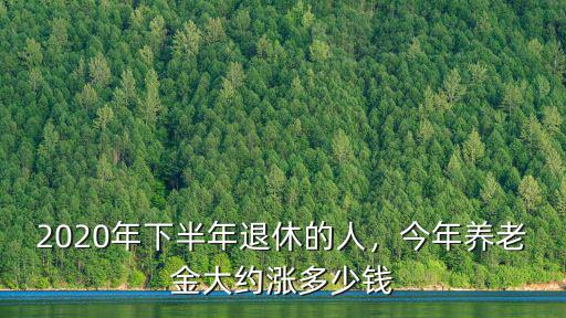 2019年山東退體人員漲多少,2020年下半年退休的人