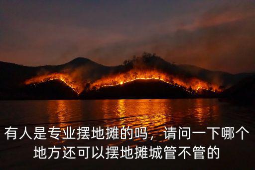 有人是專業擺地攤的嗎，請問一下哪個地方還可以擺地攤城管不管的