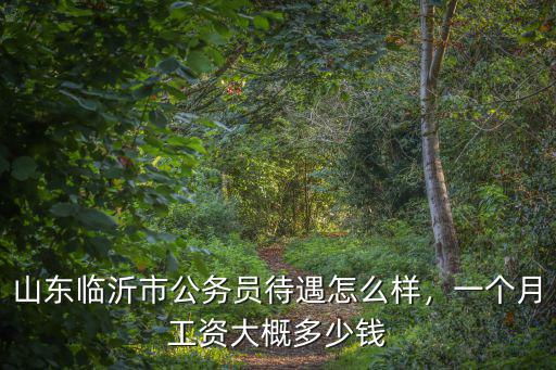臨沂山松一個月多少錢,臨沂的低保一個月多少錢