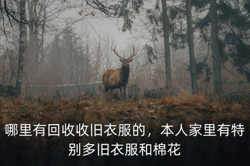 廣東哪里有正規回收舊衣服的,加盟舊衣服回收