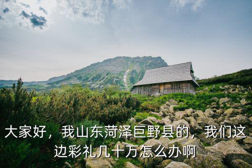 大家好，我山東菏澤巨野縣的，我們這邊彩禮幾十萬怎么辦啊