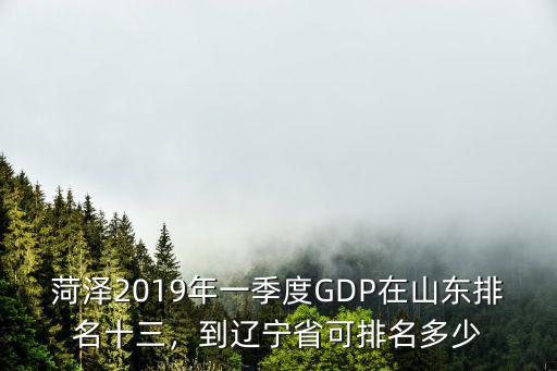 菏澤經濟在全國排名多少,山東的經濟在全國排名怎么樣