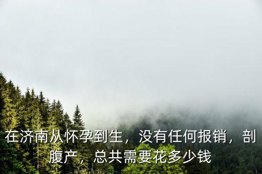 濟(jì)南生小孩送多少錢,在濟(jì)南生孩子需要花多少錢
