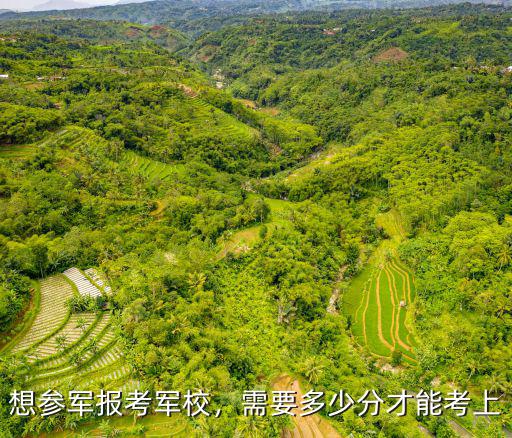 想參軍報考軍校，需要多少分才能考上