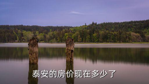 山東省寧陽(yáng)縣城現(xiàn)在房?jī)r(jià)多少錢,泰安的房?jī)r(jià)現(xiàn)在多少了