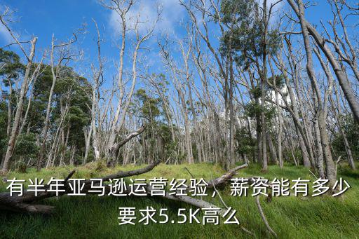 深圳亞馬遜運(yùn)營(yíng)底薪一般多少錢,做亞馬遜運(yùn)營(yíng)