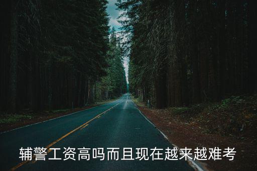 濰坊現在輔警的工資是多少,輔警工資高嗎