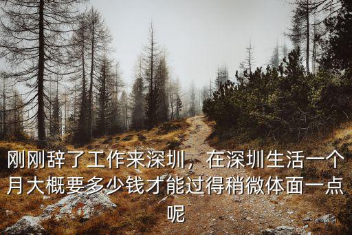 深圳一個(gè)月得花多少錢(qián),正常一個(gè)月的消費(fèi)水平是多少