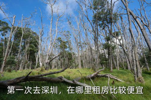 深圳租房哪里的比較靠譜,第一次去深圳