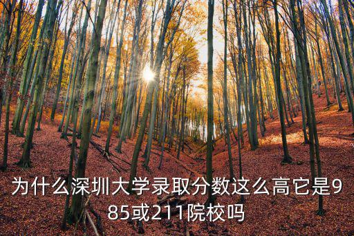 今年深圳大學的錄取分數是多少,580分被中南大學錄取