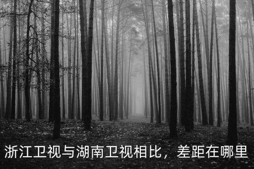 浙江衛(wèi)視楊川源多少歲,浙江衛(wèi)視與湖南衛(wèi)視相比