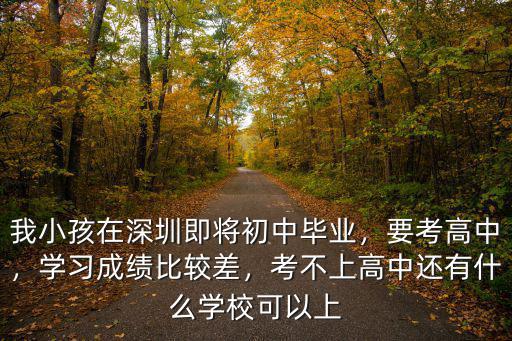 深圳多少高中,我小孩在深圳即將初中畢業