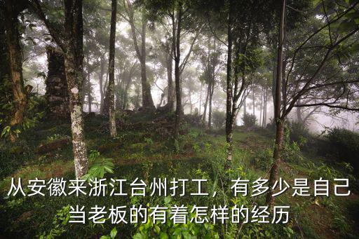 從安徽來浙江臺州打工，有多少是自己當老板的有著怎樣的經歷
