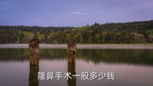 深圳隆鼻多少錢放心-美來專注,隆鼻整形多少錢