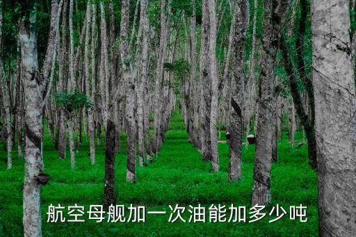 航空母艦加一次油能加多少噸
