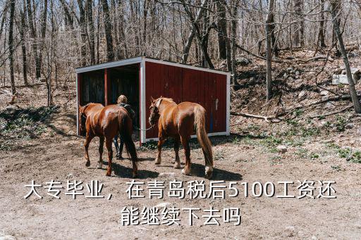 青島剛畢業學生的工資是多少錢,青島生活成本每月多少錢