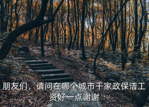 朋友們，請問在哪個城市干家政保潔工資好一點謝謝