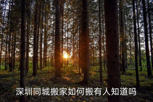 深圳在哪里可以找人幫忙搬家,深圳搬家找哪個公司靠譜