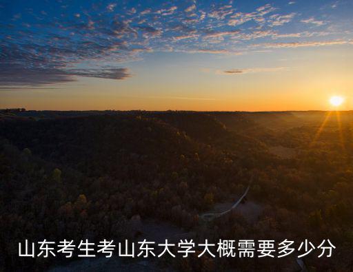 山東考本科需要多少錢,大概需要多少分