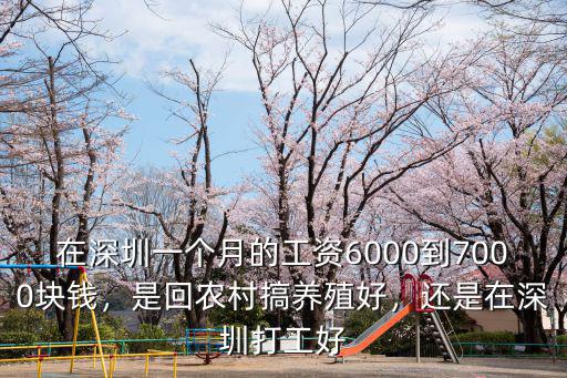在深圳美工多少錢一個月多少錢,在深圳一個月才八九千塊錢