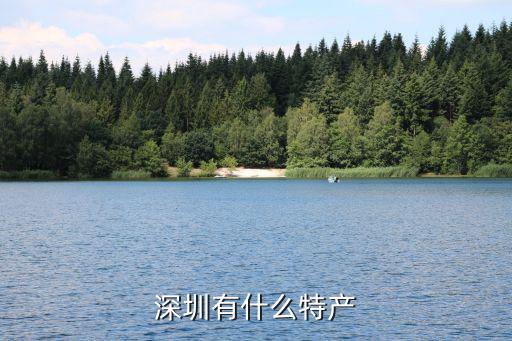 深圳禮品特產(chǎn)怎么選,深圳有什么特產(chǎn)