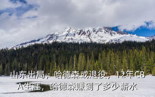 山東出局，哈德森或退役，12年CBA生涯，哈德森賺到了多少薪水