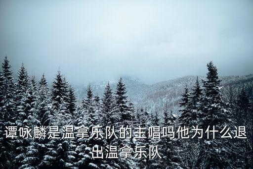 溫拿樂隊中山演唱會門票多少錢,他為什么退出溫拿樂隊