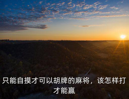 只能自摸才可以胡牌的麻將，該怎樣打才能贏