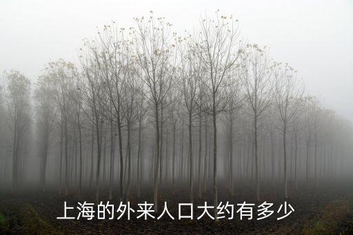 上海的外來人口大約有多少