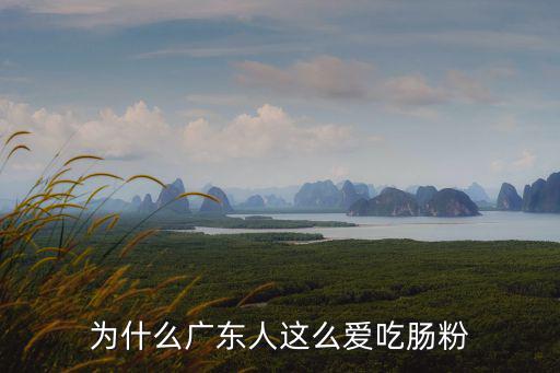 廣東腸粉一周吃多少,為什么廣東人這么愛吃腸粉