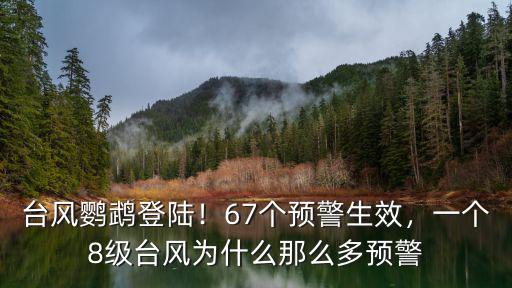 臺(tái)風(fēng)鸚鵡陽江登陸多少級(jí),臺(tái)風(fēng)鸚鵡登陸廣東陽江