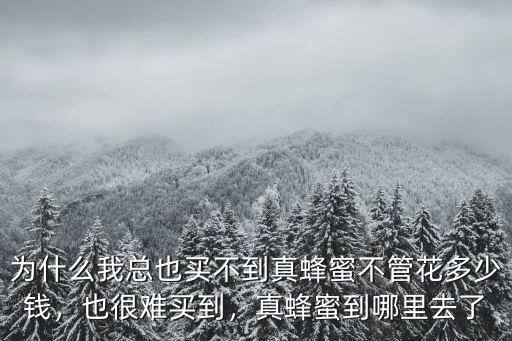 中山哪里可以買到真蜂蜜,為什么我總也買不到真蜂蜜