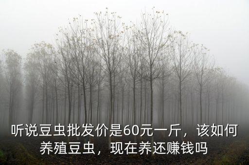 泰安豆蟲多少錢1斤,你預計面粉要漲到多少錢1斤