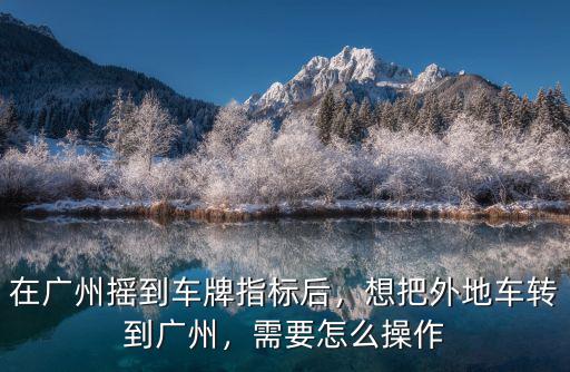 廣州車(chē)牌搖號(hào)怎么消除,在廣州搖到車(chē)牌指標(biāo)后