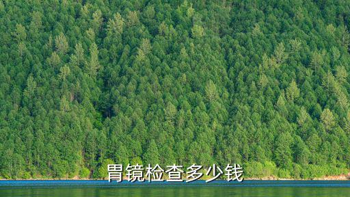現在杭州做胃鏡檢查多少價格嗎,胃鏡檢查需要多少錢