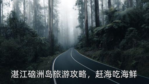 湛江硇洲島旅游攻略，趕海吃海鮮