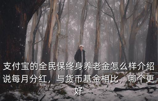 支付寶的全民保終身養老金怎么樣介紹說每月分紅，與貨幣基金相比，哪個更好
