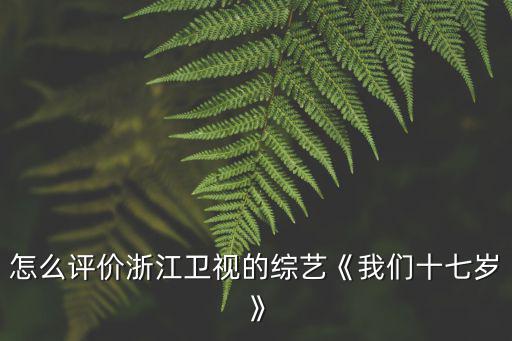 怎么評價浙江衛視的綜藝《我們十七歲》