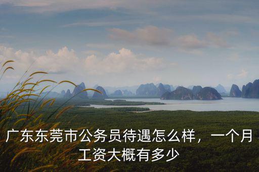 廣東東莞市公務員待遇怎么樣，一個月工資大概有多少