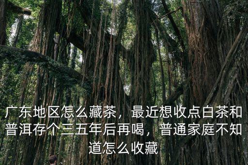 佛山普洱茶怎么保存,廣東地區(qū)怎么藏茶